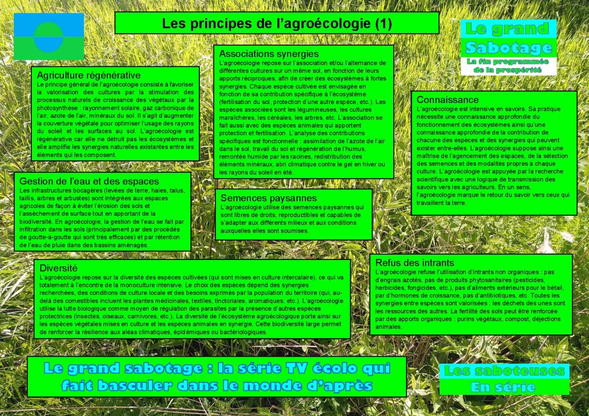 Les saboteuses en série souhaitent accélérer l’implantation de l’agroécologie sur les&nbsp;territoires
